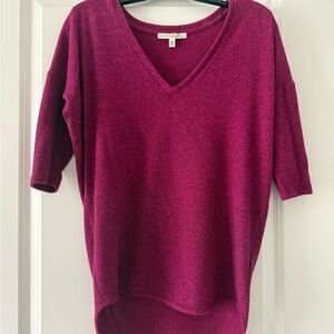 Express Women's V-Neck Short Sleeve Sweater - Berry Plum
